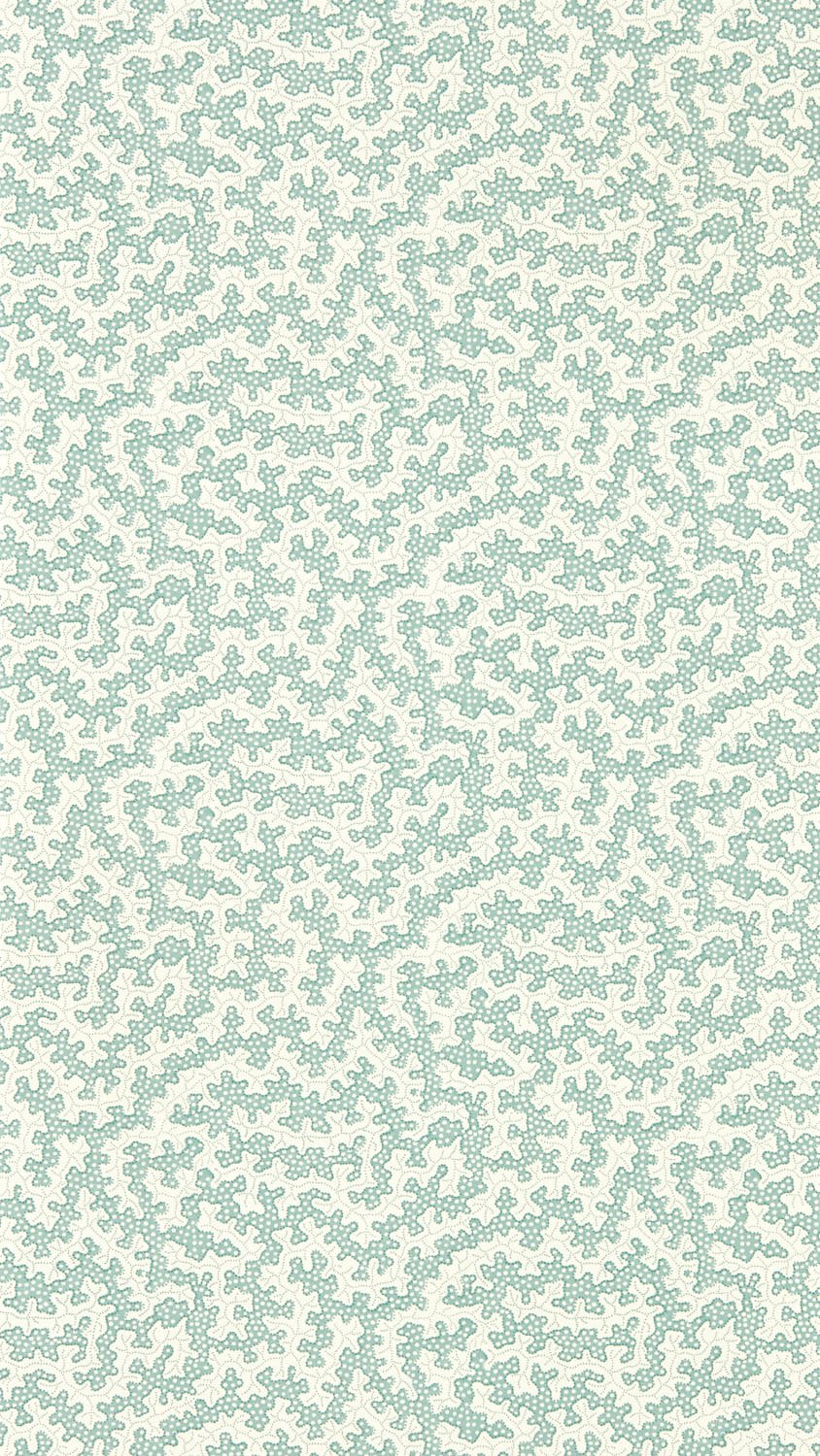 Image of 