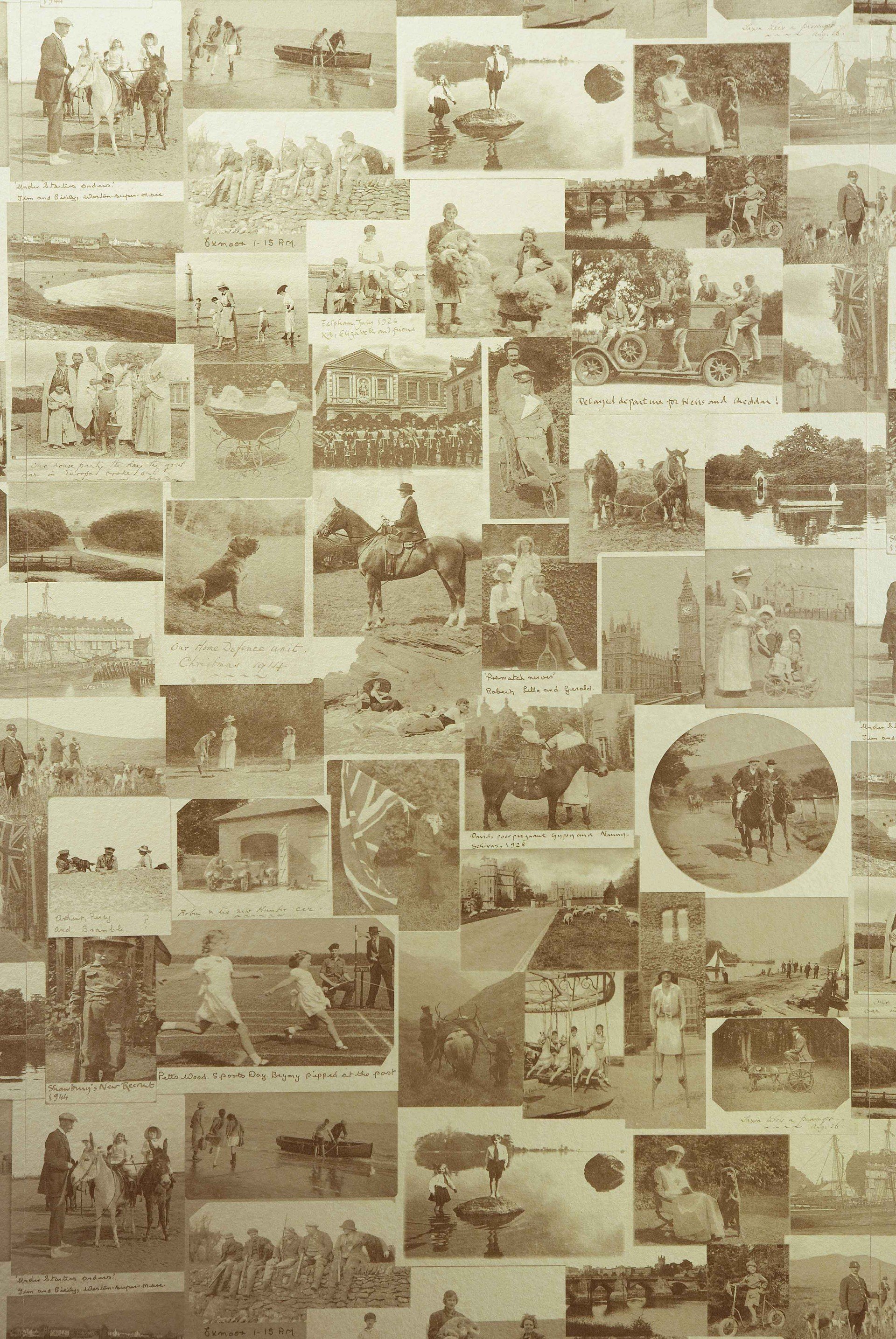 Image of 