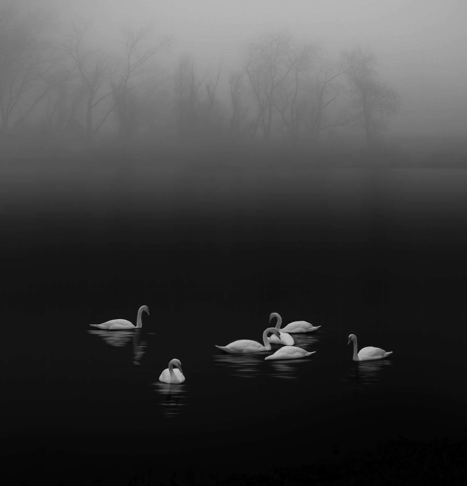 Image de 