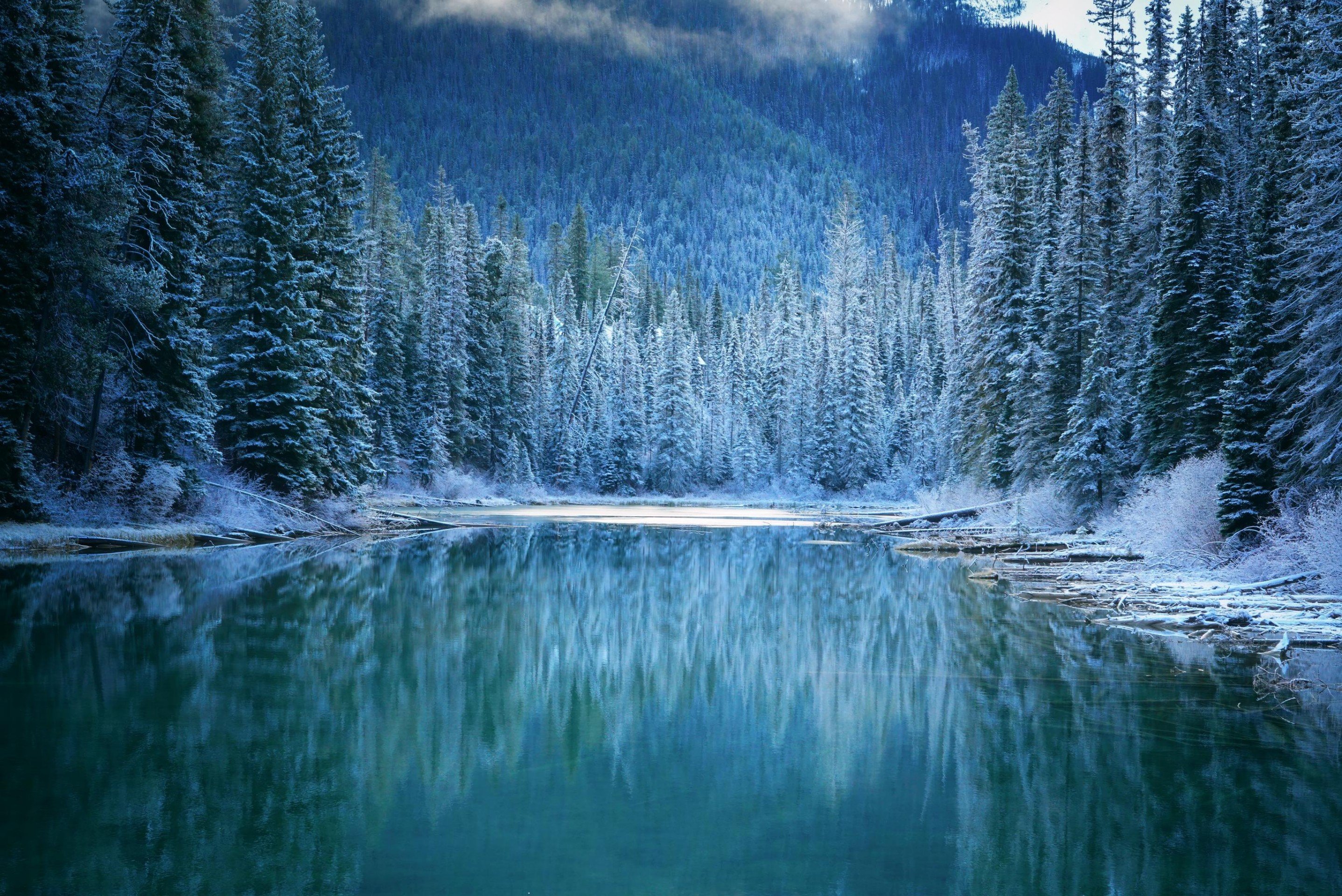 Image de 