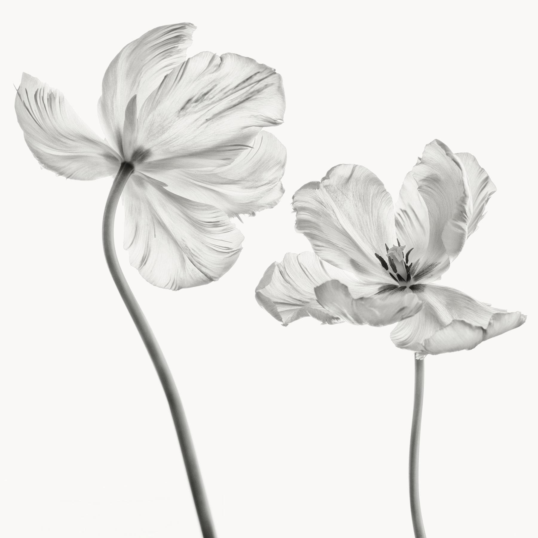 Image of 
