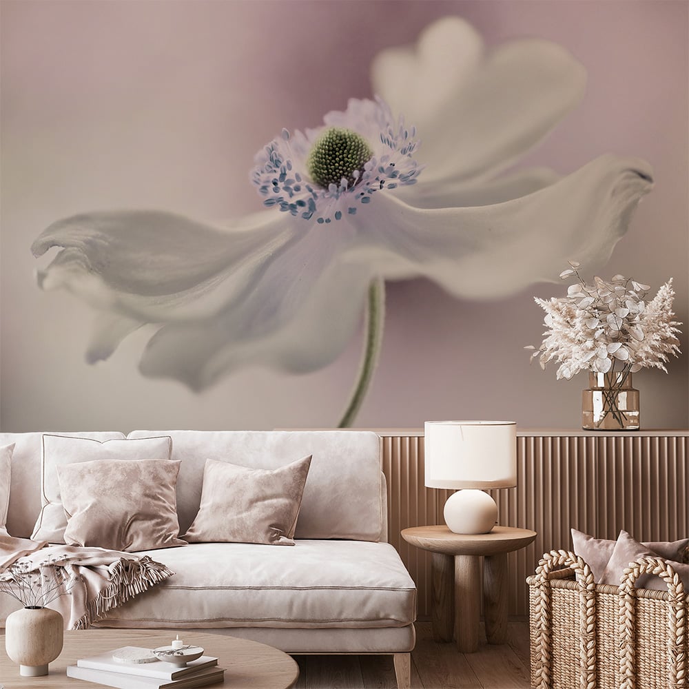 Image of 