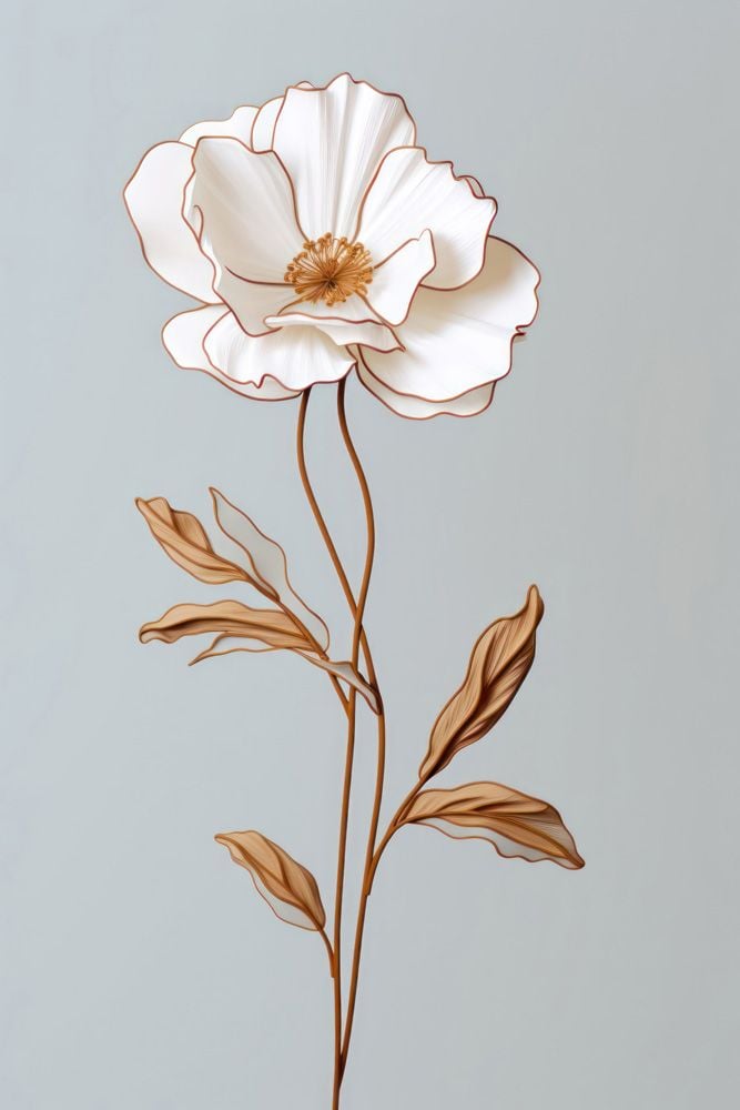 Image de 