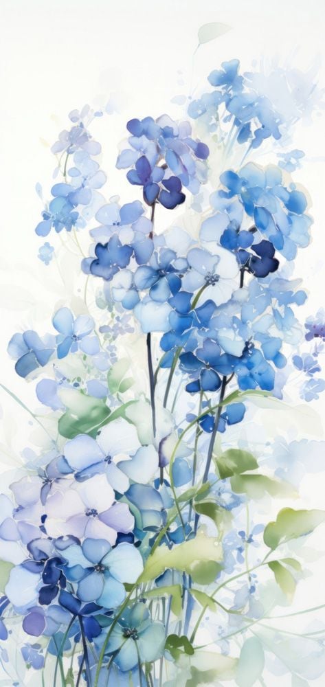 Image de 