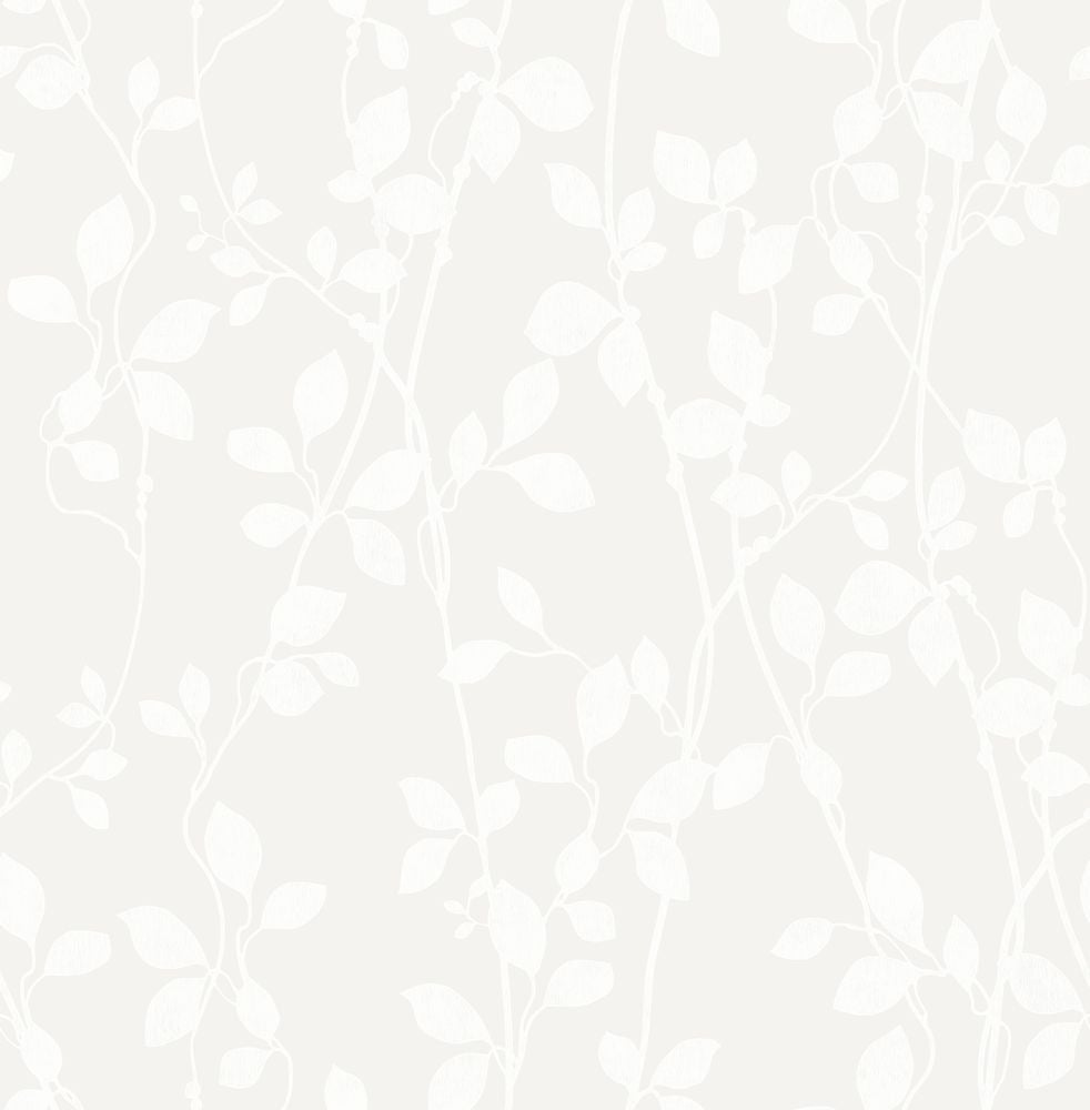 Image of 
