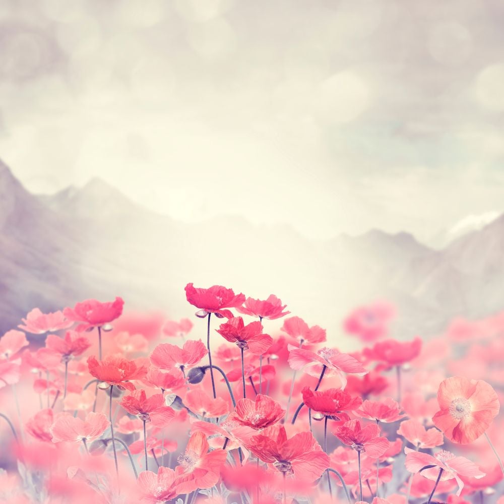 Image de 