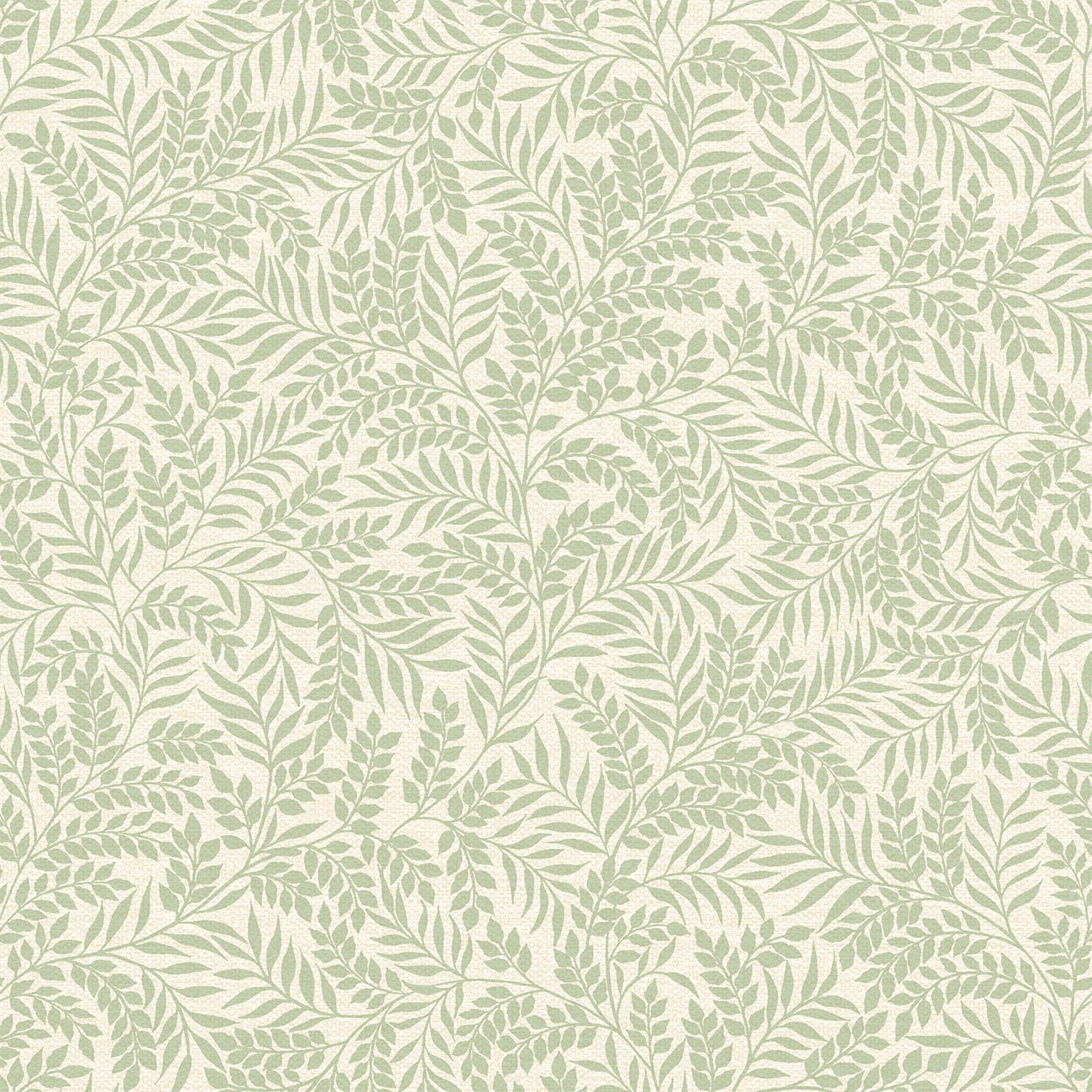 Image of 