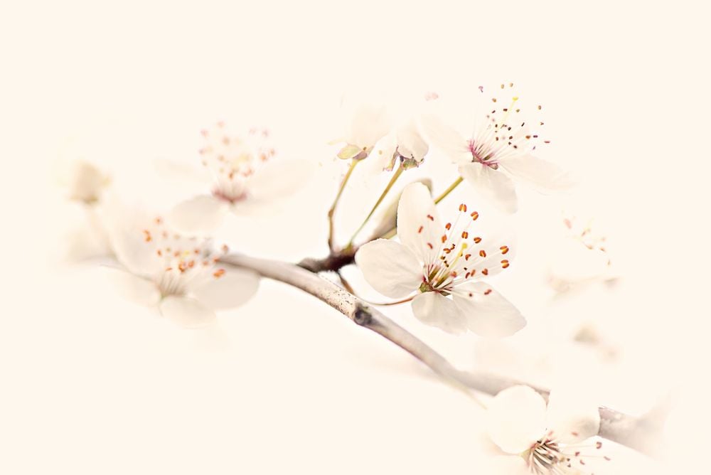 Image de 