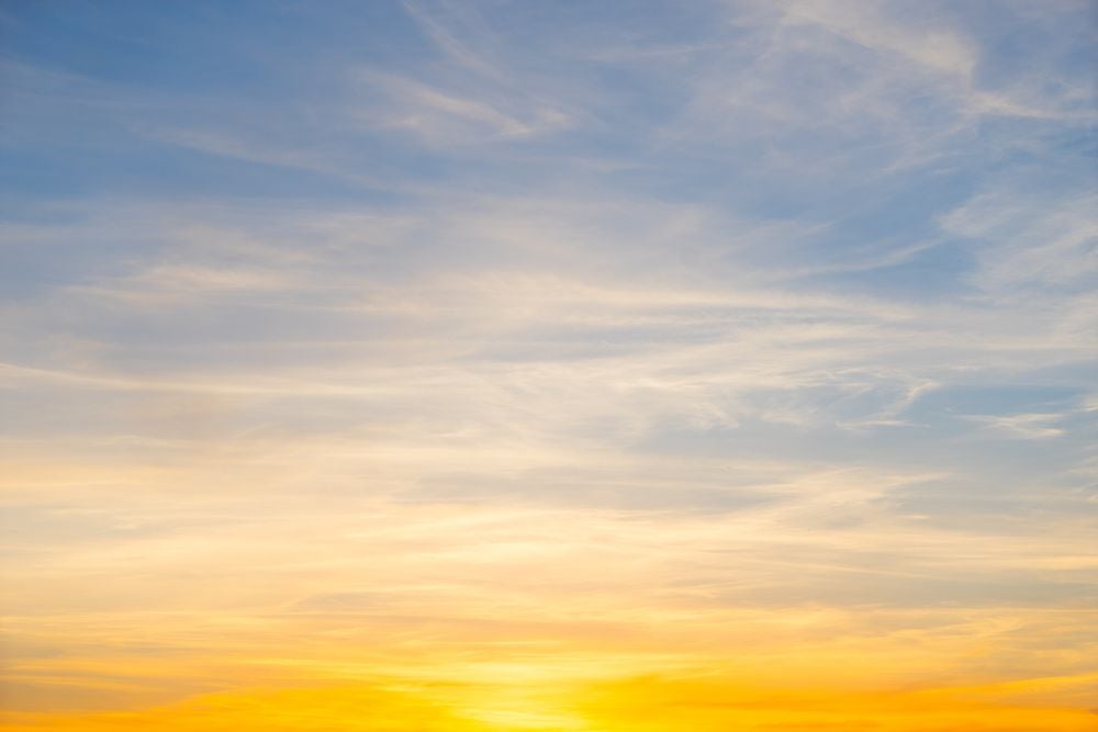 Image of 