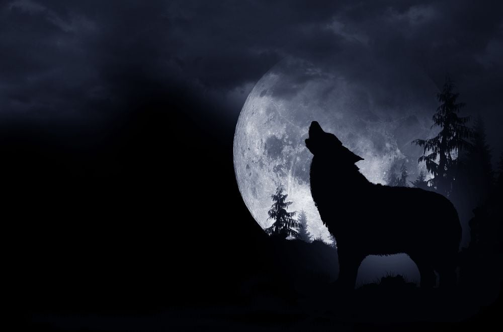 Image of 