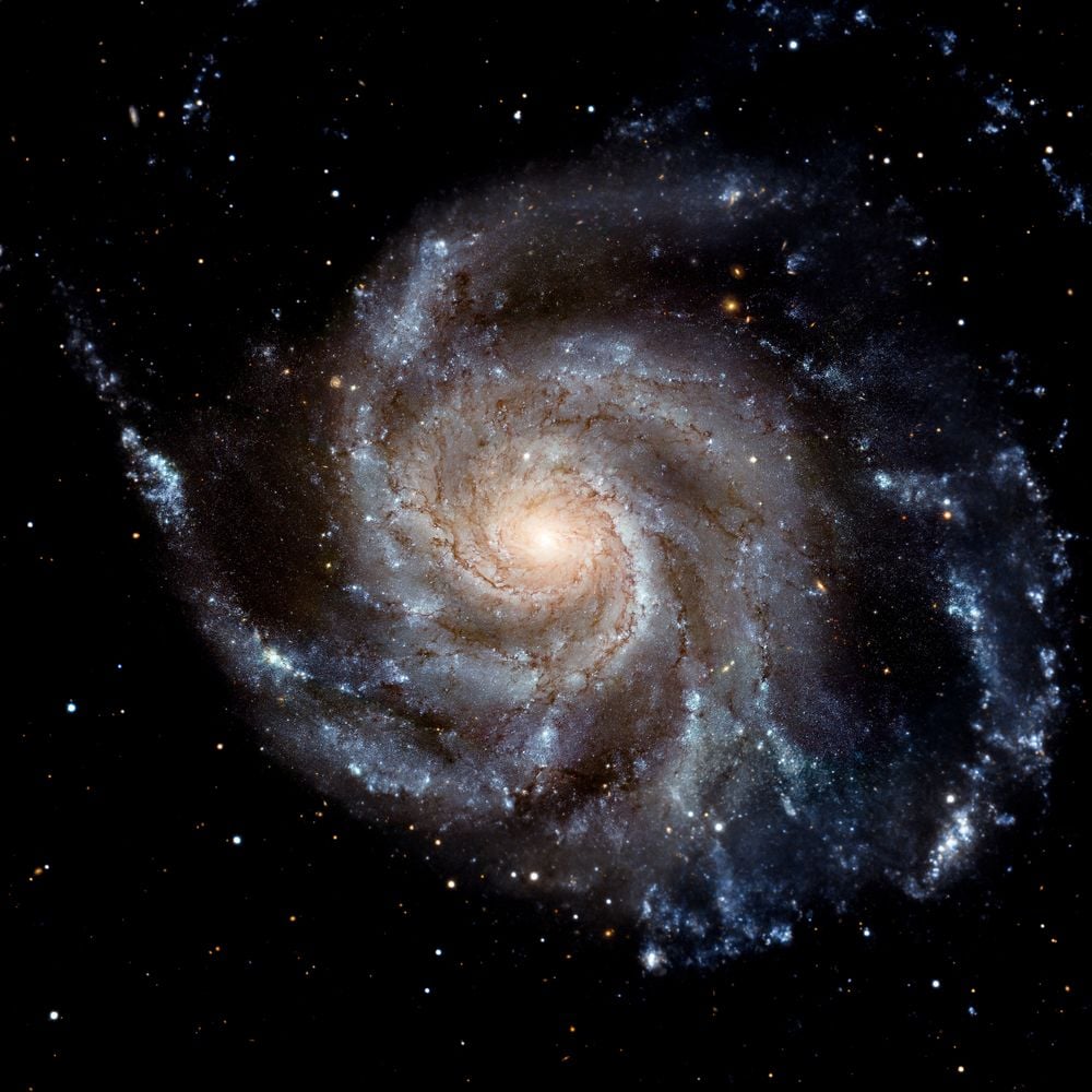 Image of 