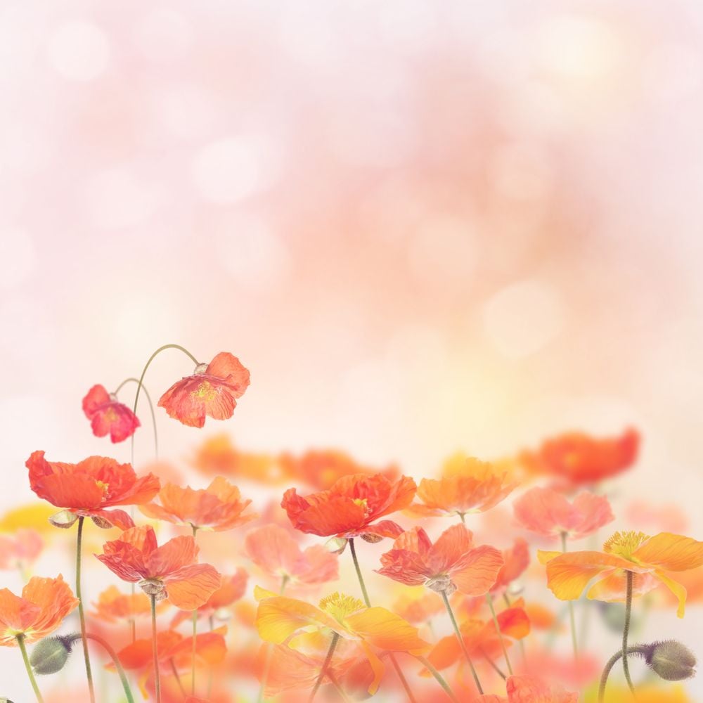 Image de 