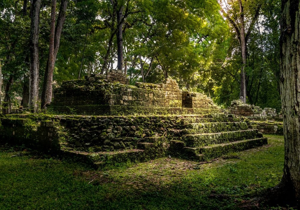 Image of 