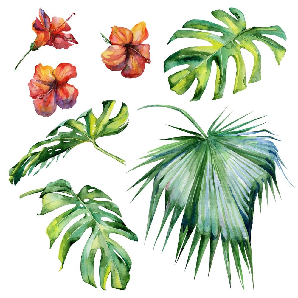 Image of 