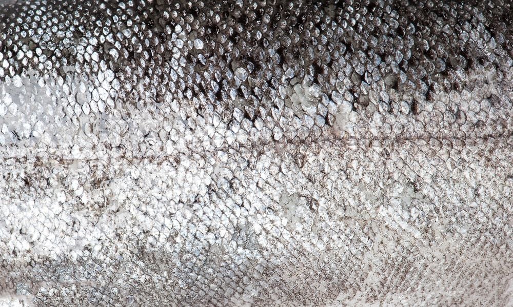 Image of 