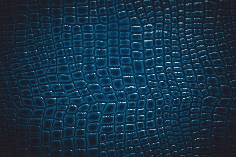 Image of 