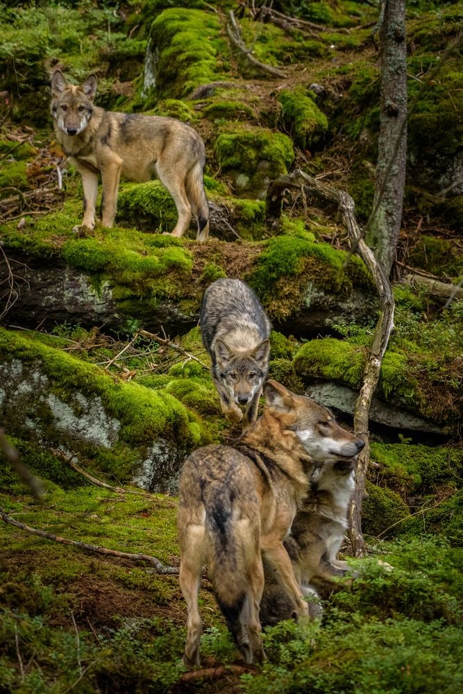 Image of 