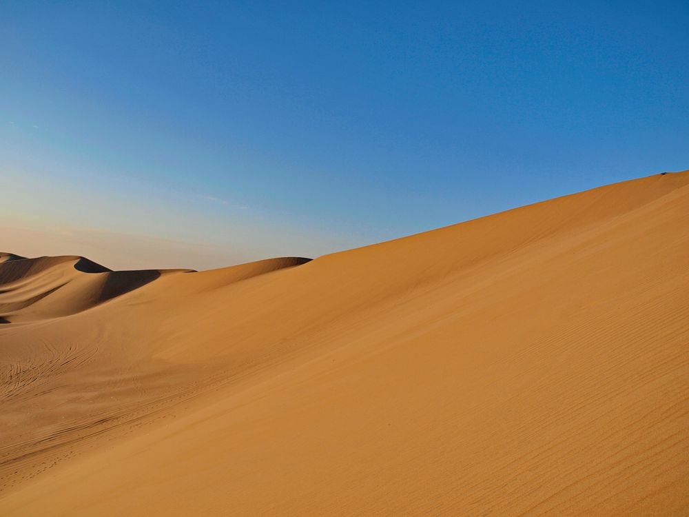 Image of 
