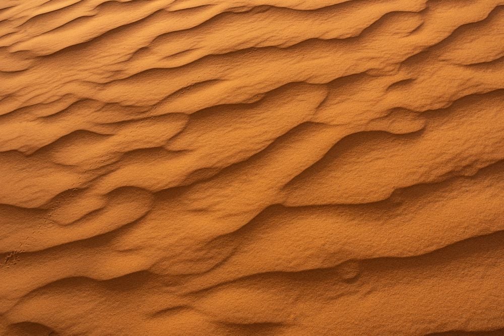 Image of 