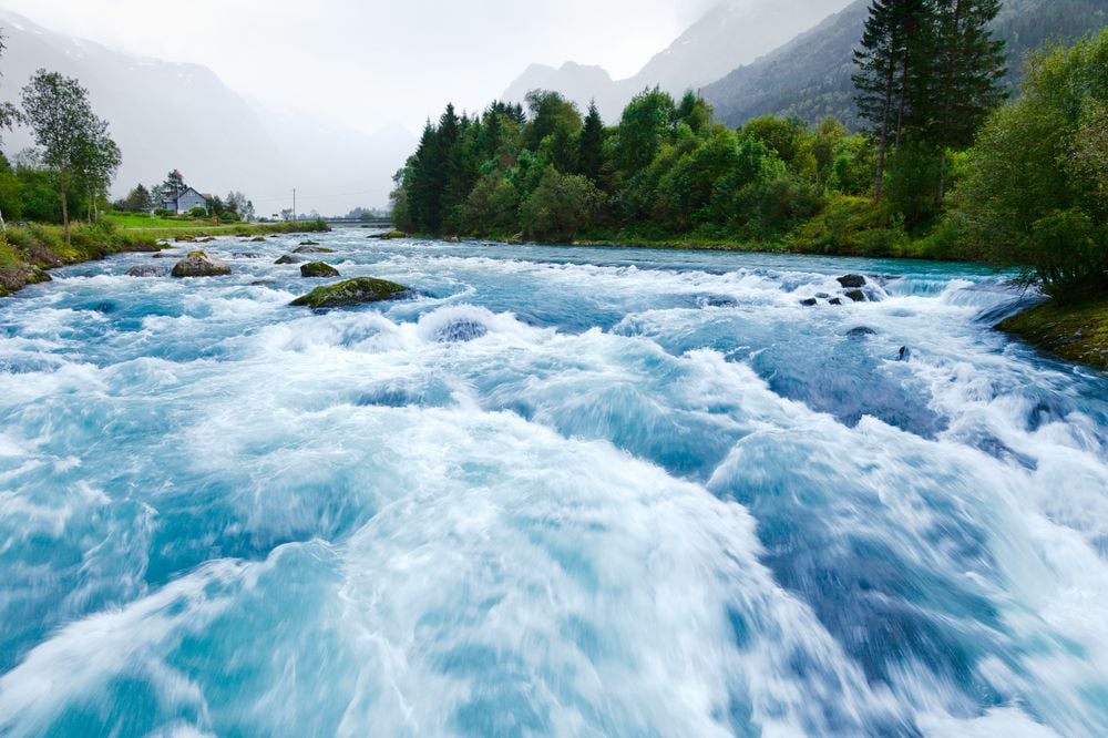Image of 