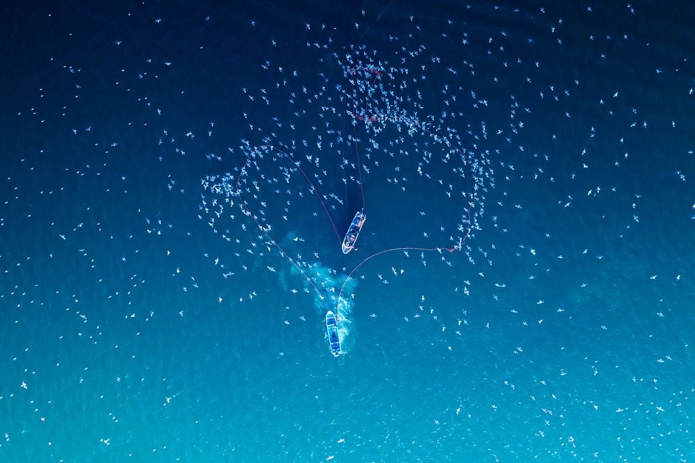 Image of 