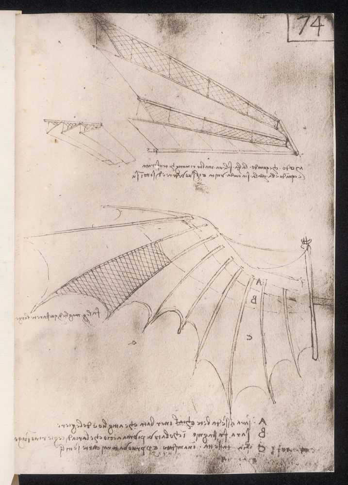 Image of 