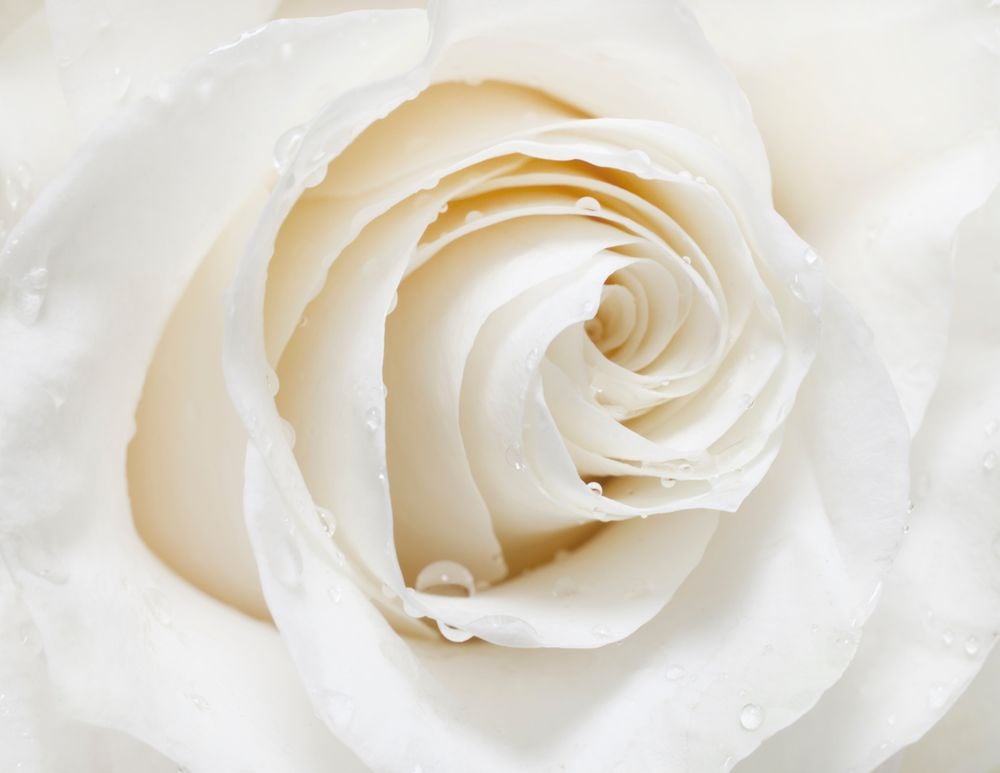 Image de 