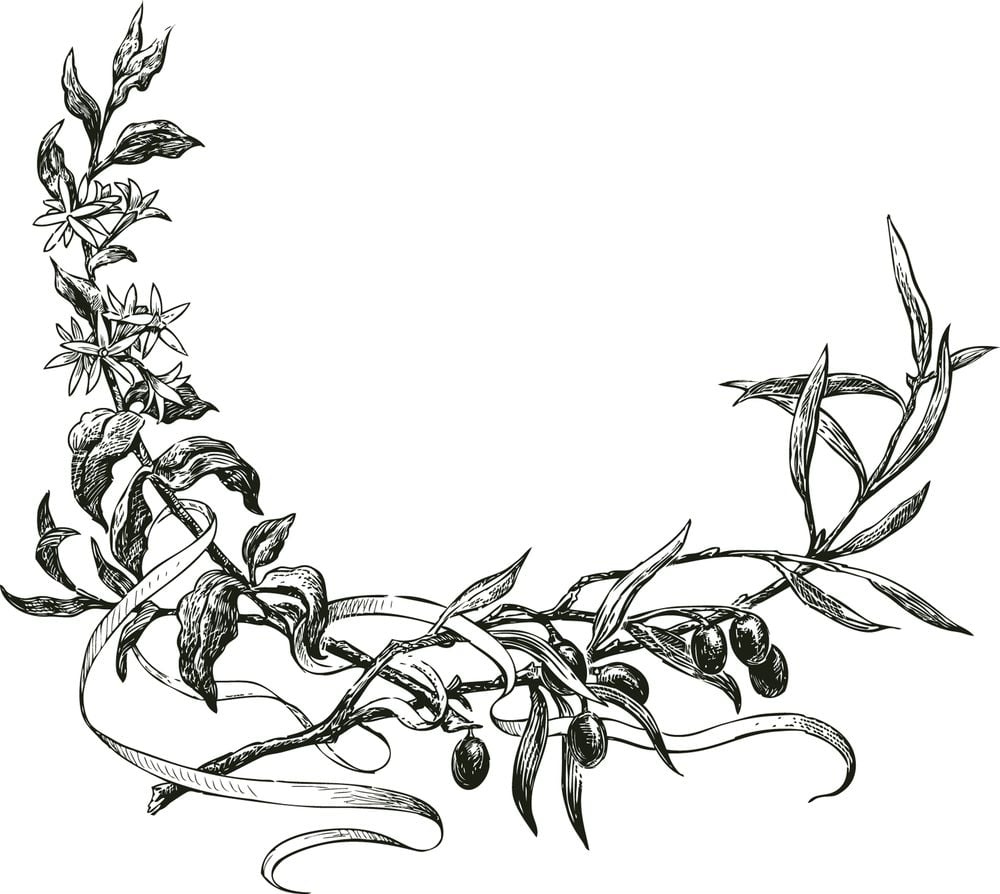 Image of 