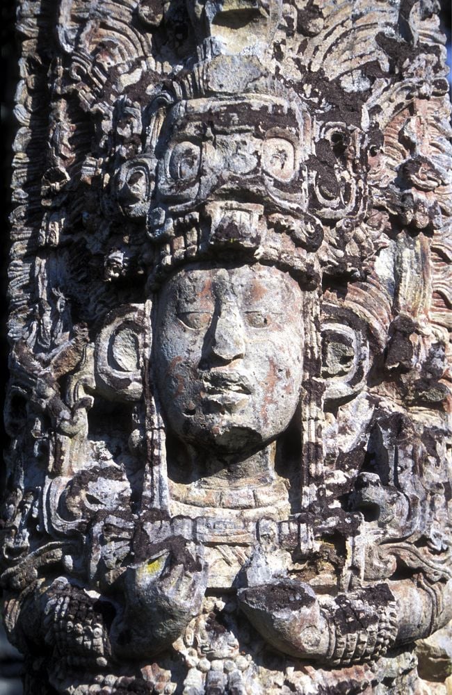 Image of 