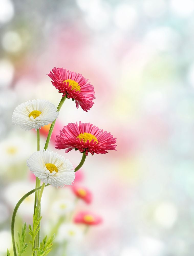 Image of 
