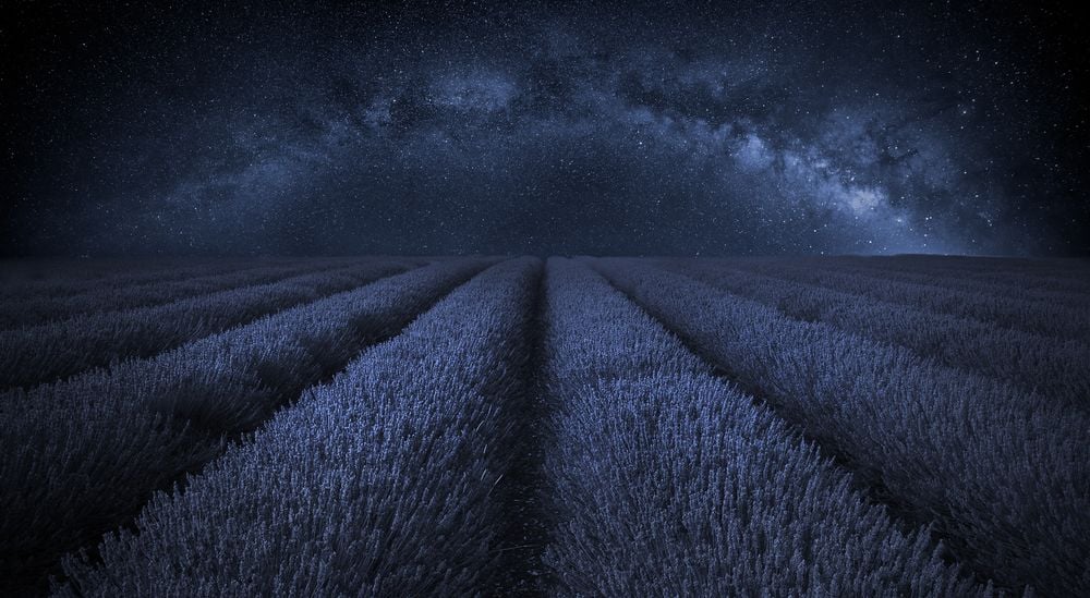 Image of 