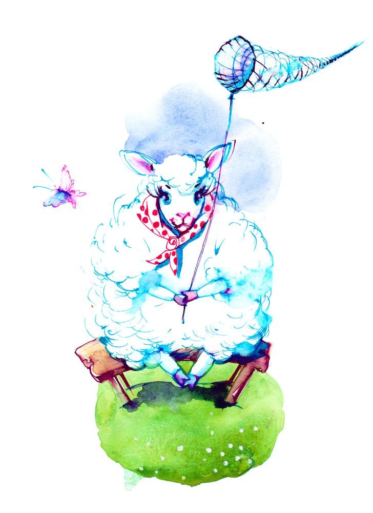 Image of 