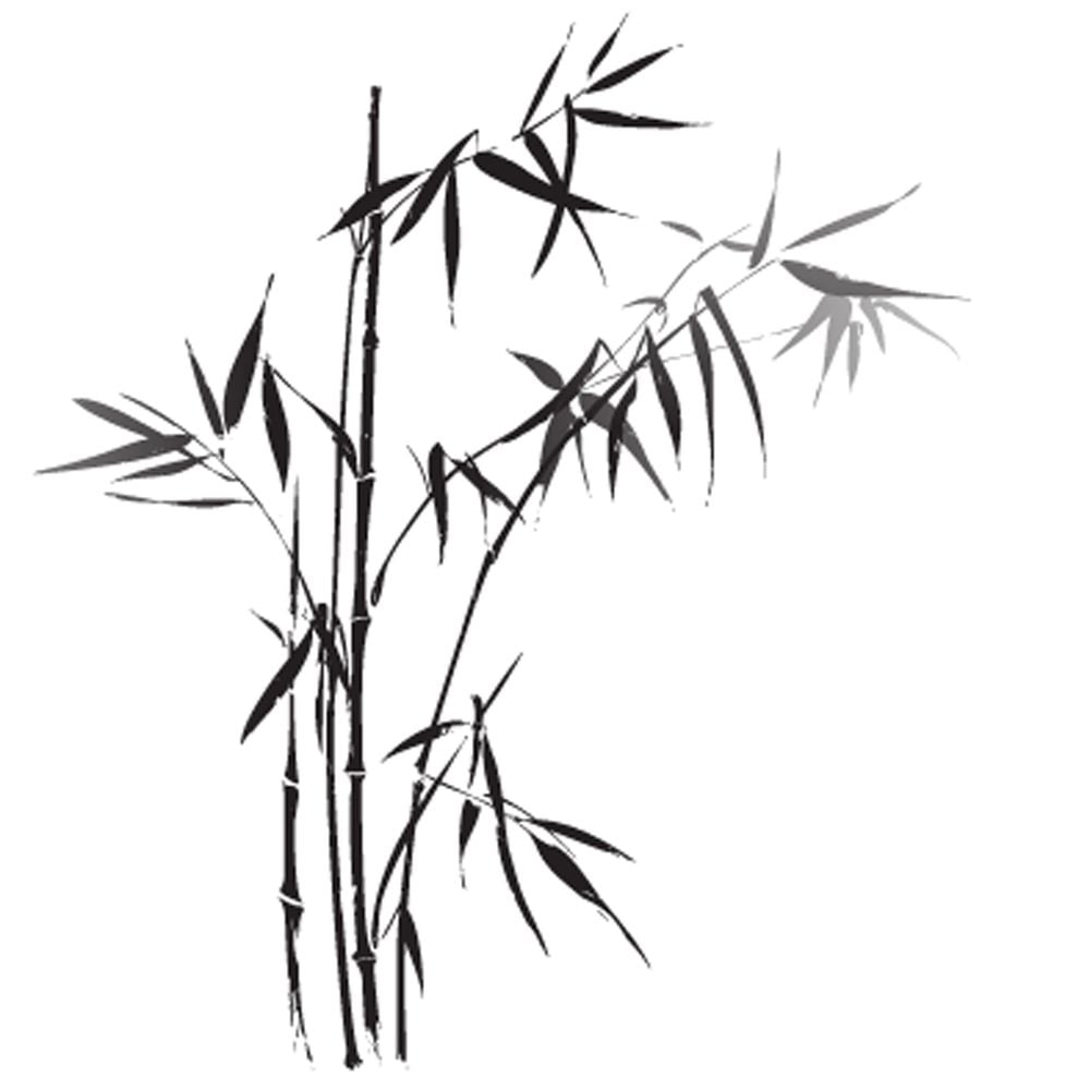 Image de 