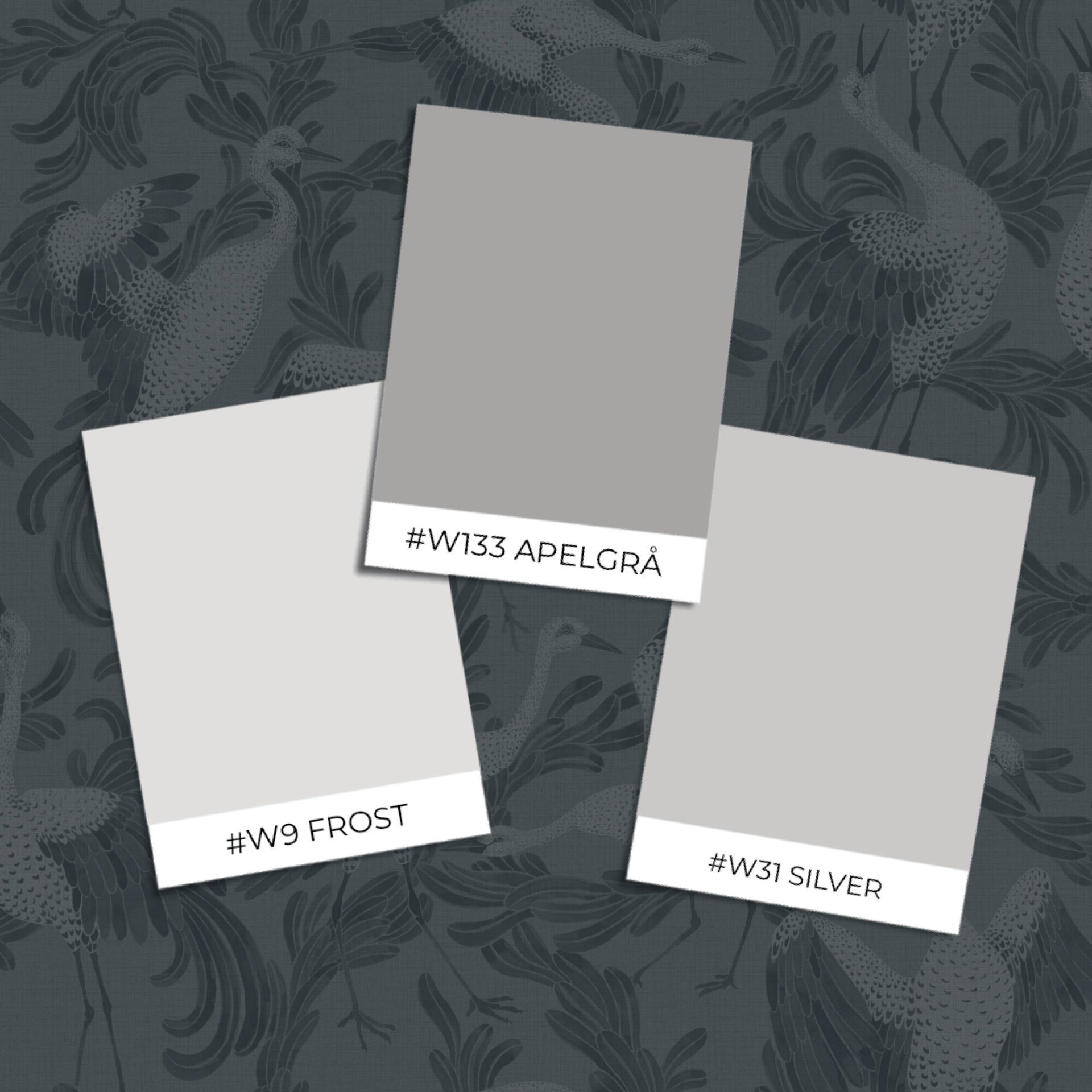 Image of 