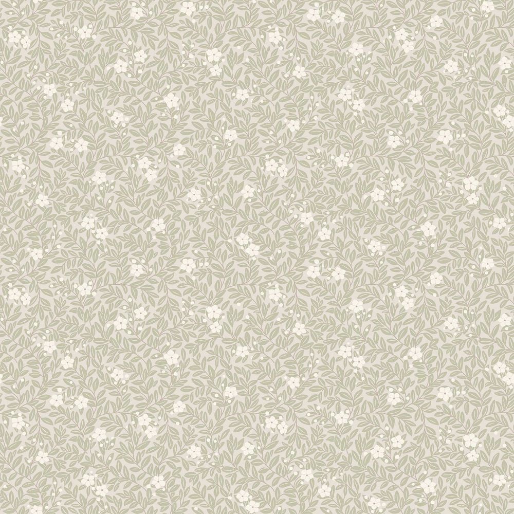 Image of 