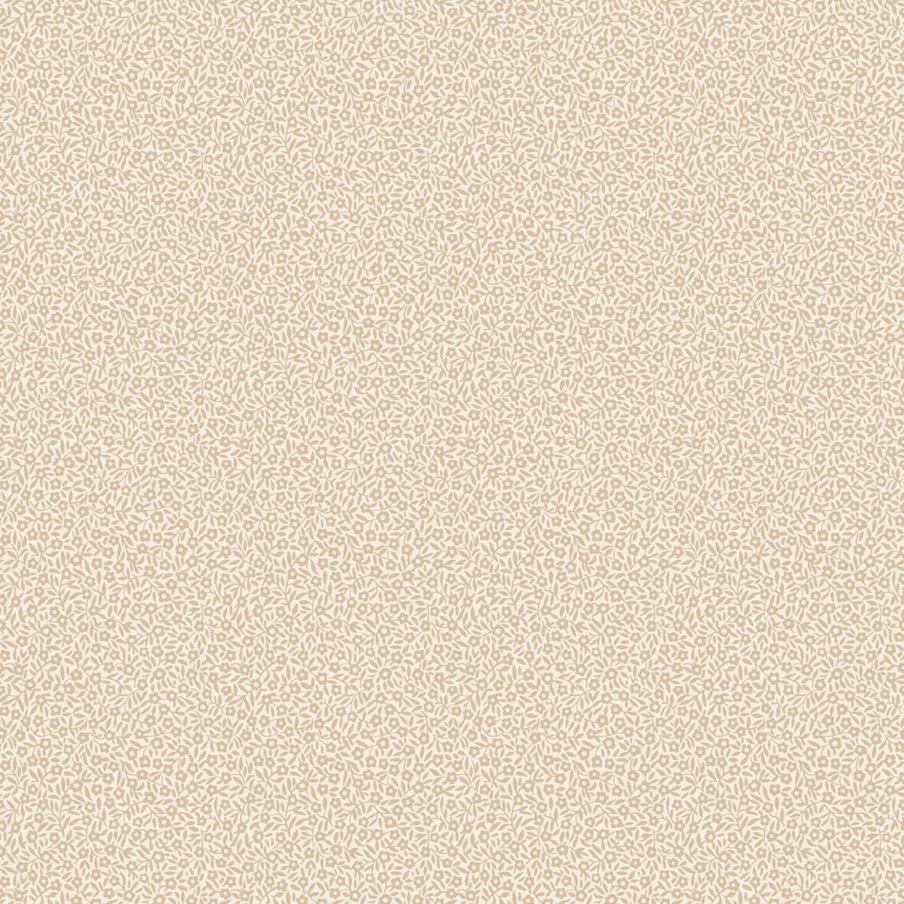 Image de 