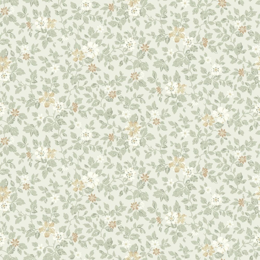 Image of 