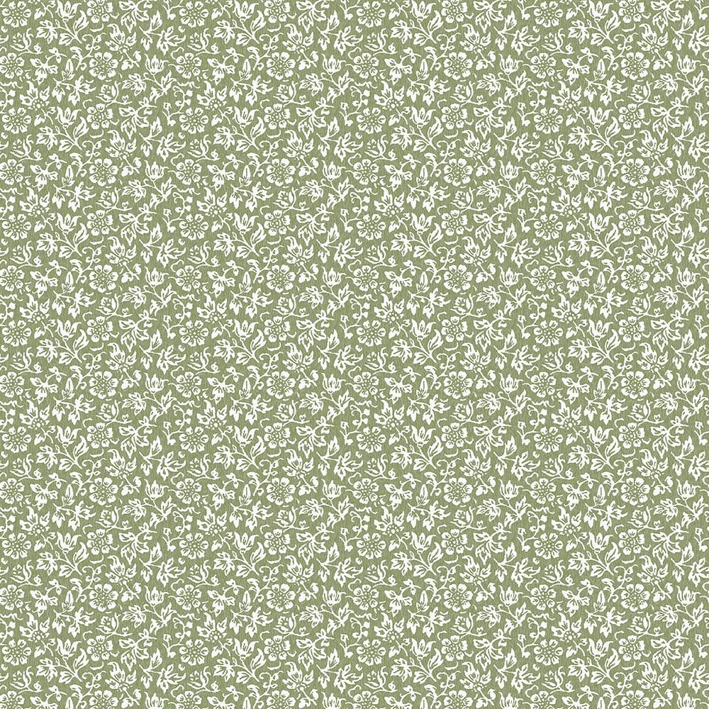Image of 