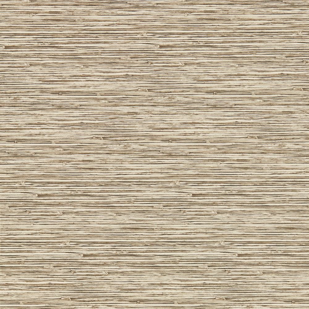 Image of 