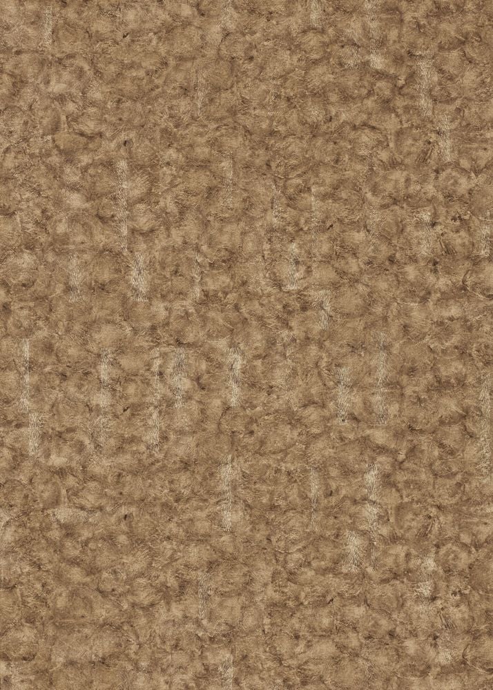 Image of 