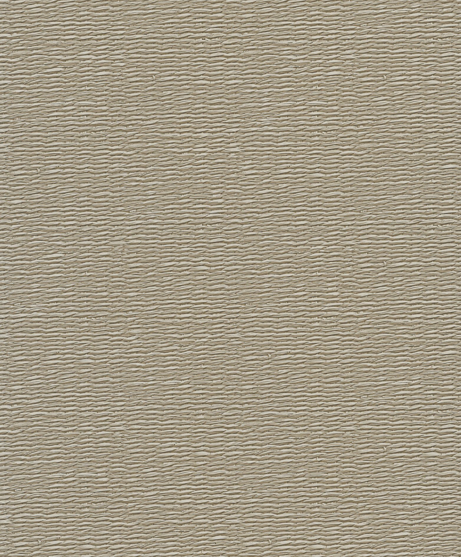Image of 