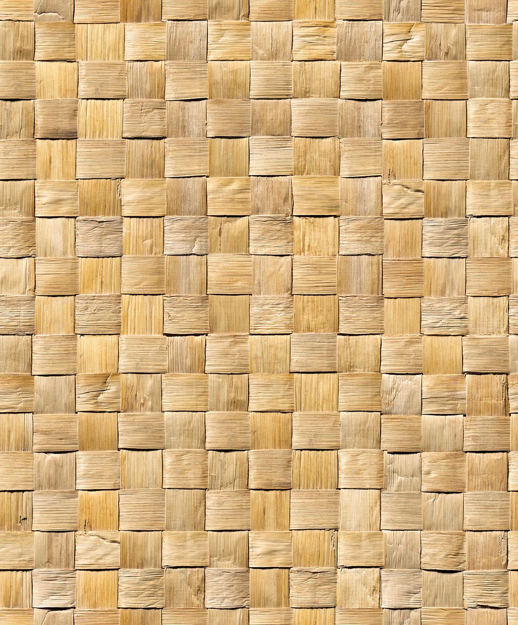 Image of 