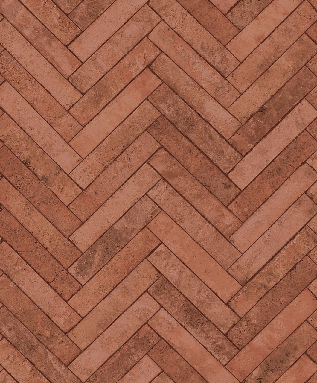 Image of 