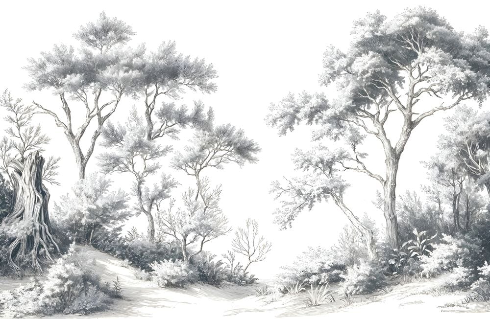 Image de 