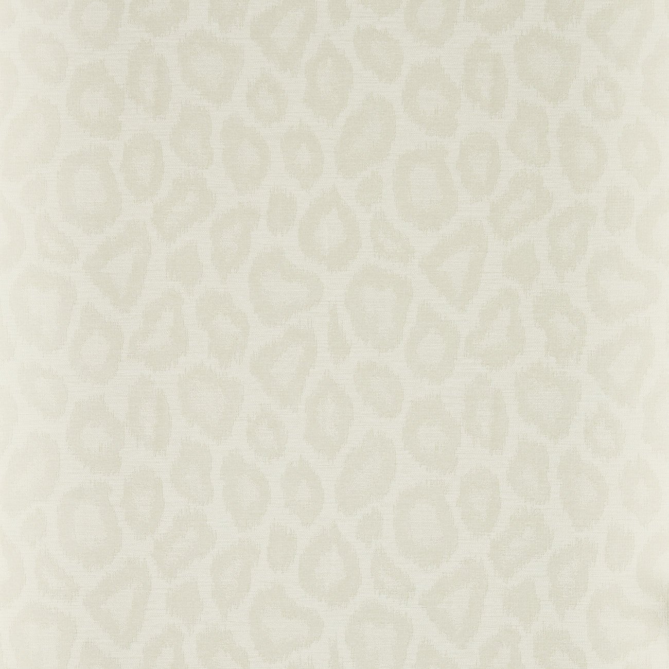 Image of 