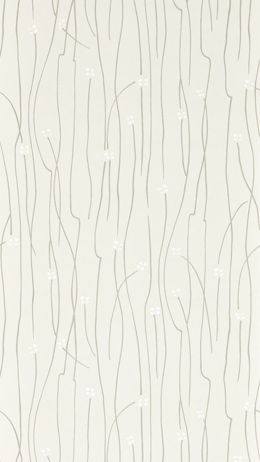 Image of 
