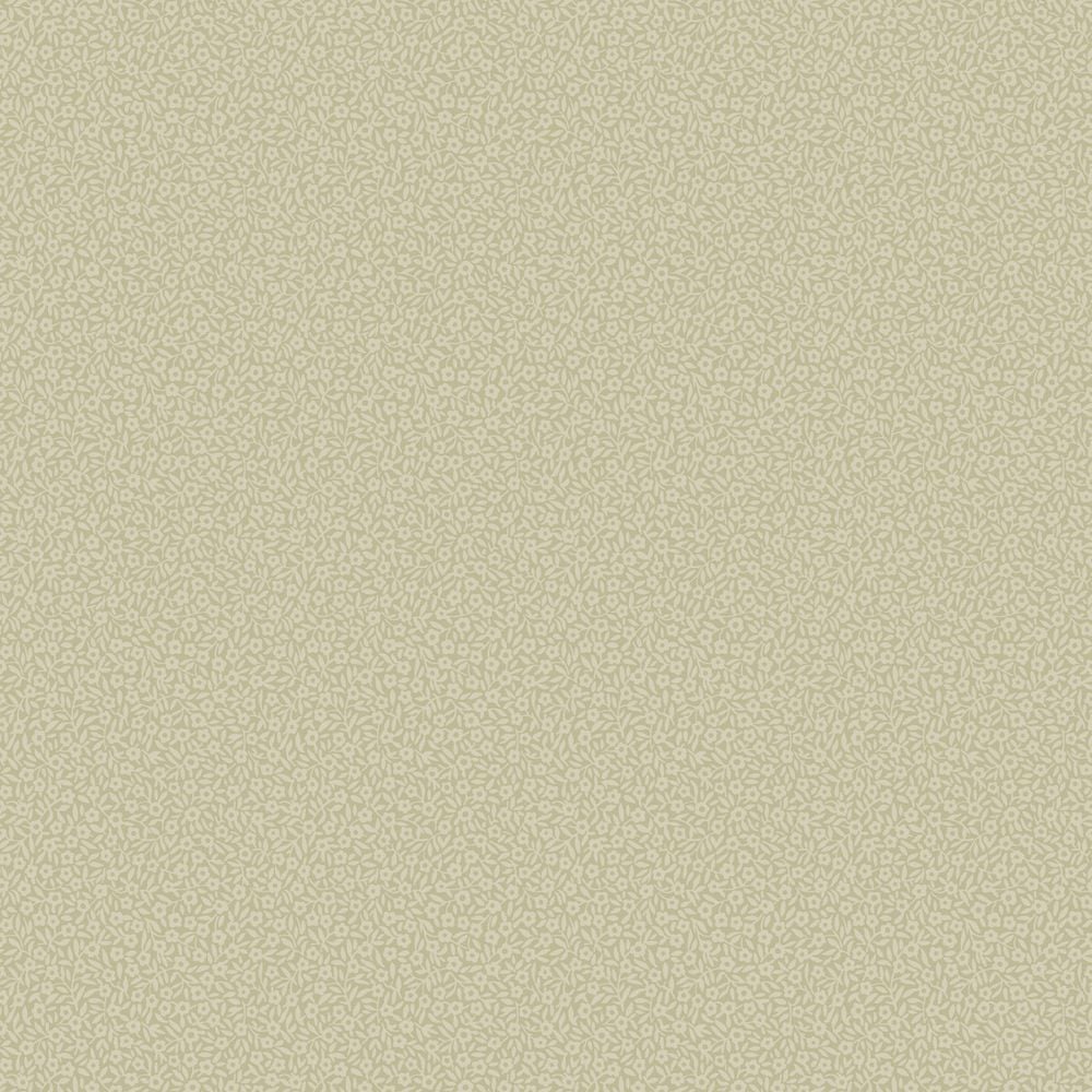 Image of 