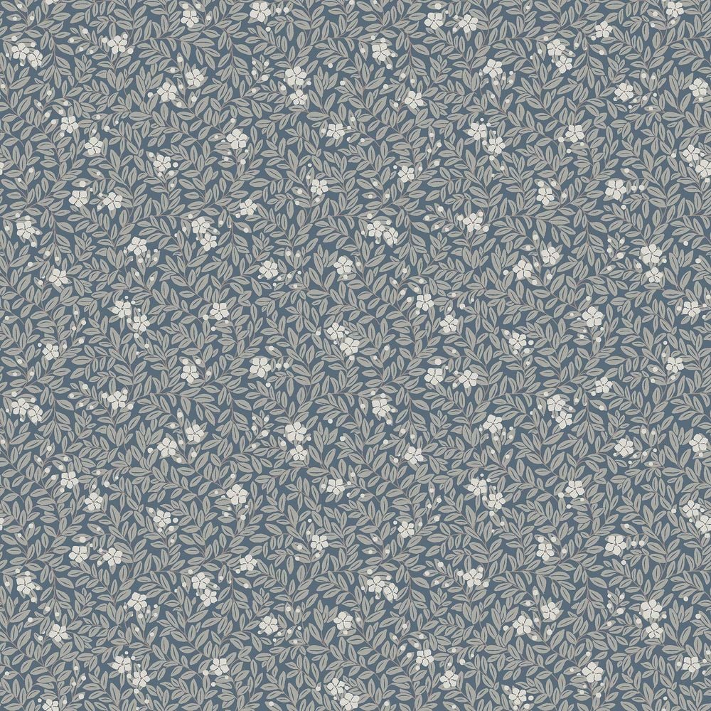 Image of 