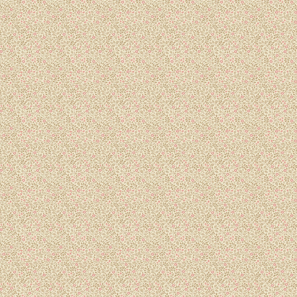 Image de 