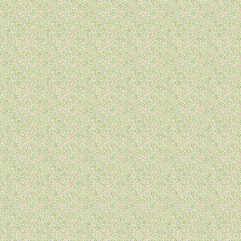 Image de 